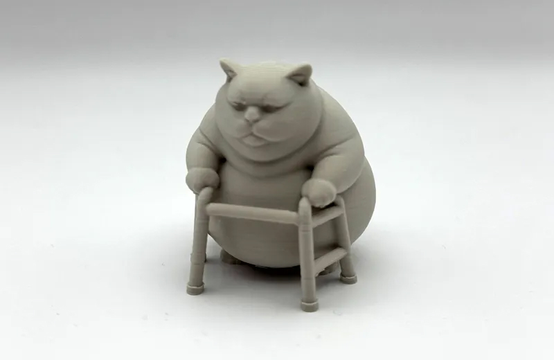 肥貓